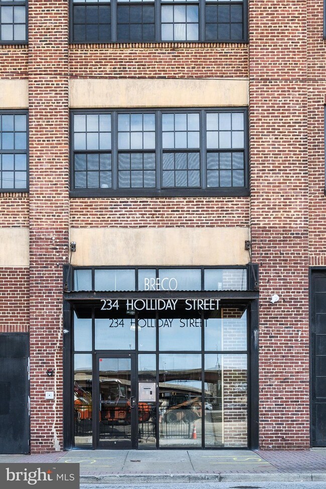 234 Holliday St unit 203, Baltimore, MD 21202 - photo 3