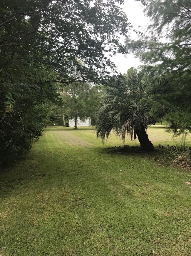 image1 (18)