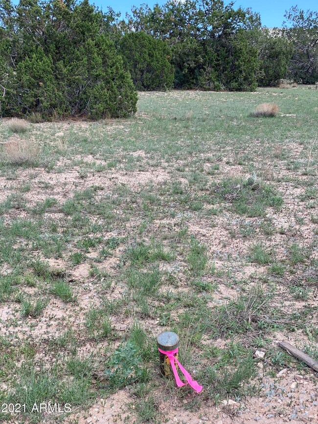 00 Markham Pass unit 1315, Seligman, AZ 86337 - photo 4