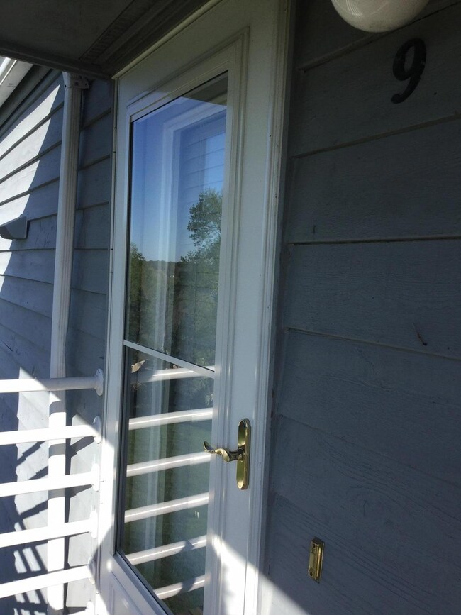 Storm Door
