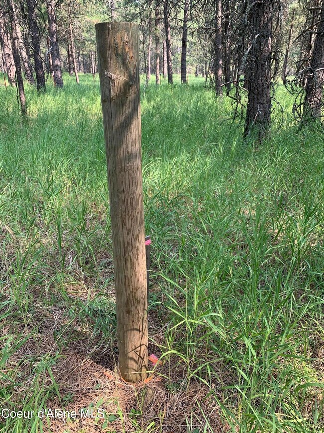 32606 N Sheep Springs Rd, Athol, ID 83801 - photo 7