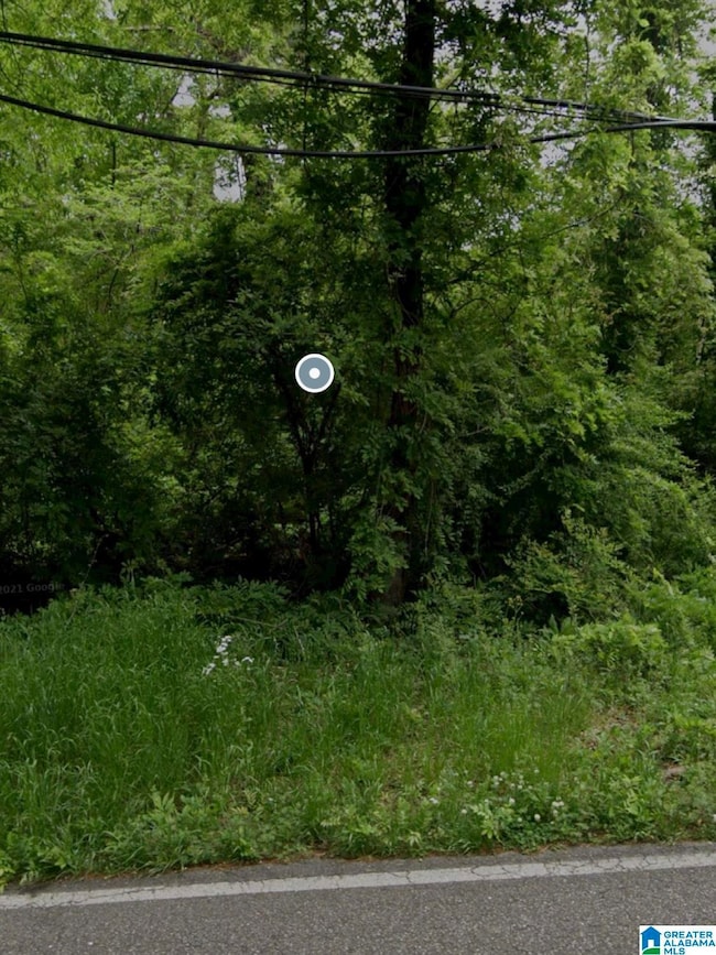 539 Crumly Chapel Rd, Birmingham, AL 35214 - photo 3