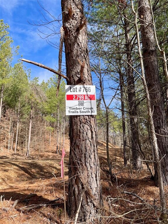 766 Timber Creek Trails South XI, Broken Bow, OK 71842 - photo 2