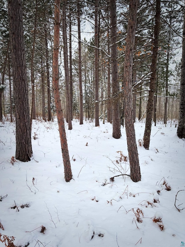 000 Campbell Rd, Clover, WI 54844 - photo 5