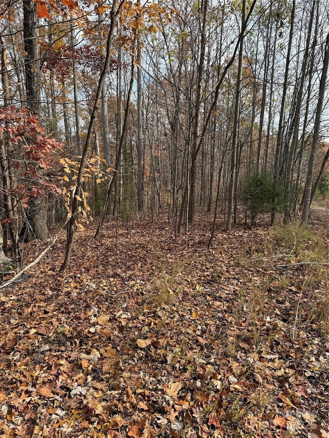 V/L Lot 112 Trail Ridge, Marion, NC 28752 - photo 2