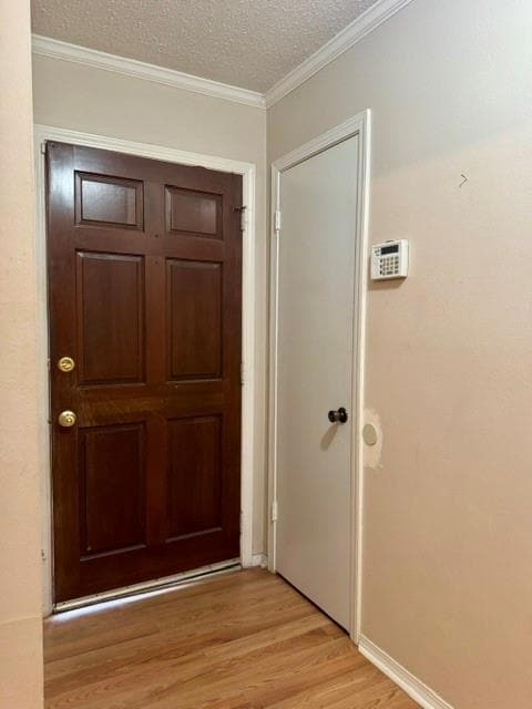 Entryway with a textured ceiling, light wood-style