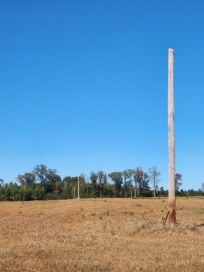 Highway 42, Culloden, GA 31016 - photo 6
