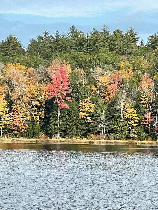 37 Forest Pond Rd, New Hampton, NH 03256 - photo 3