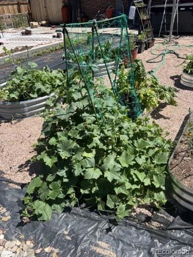 471 Iola St, Aurora, CO 80010 - photo 6