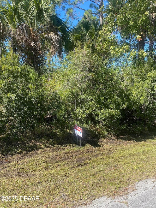 32 Serbian Bellflower Trail, Palm Coast, FL 32164 - photo 2