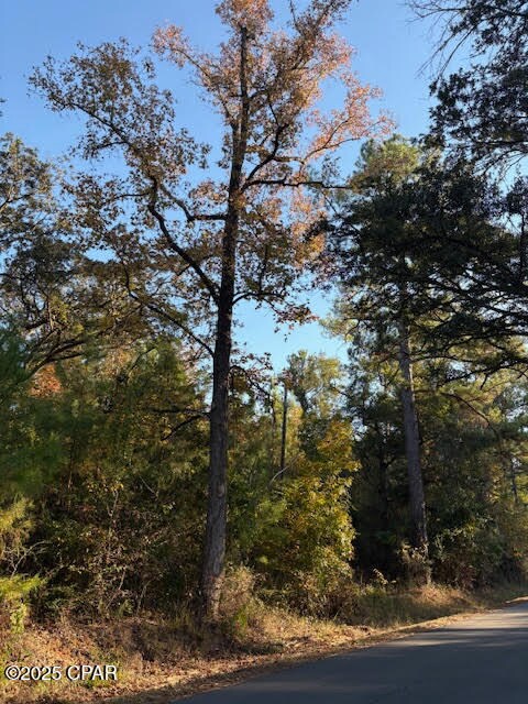 3389 Gainer Rd, Chipley, FL 32428 - photo 6