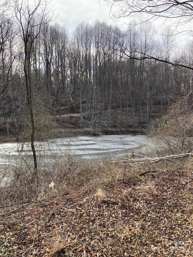 1638 Continental Divide Dr unit 2, Flat Rock, NC 28731 - photo 7