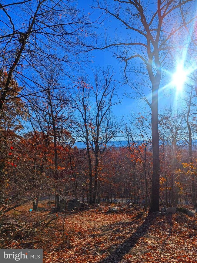 0 Parkside Dr unit WVMO2005316, Berkeley Springs, WV 25411 - photo 2