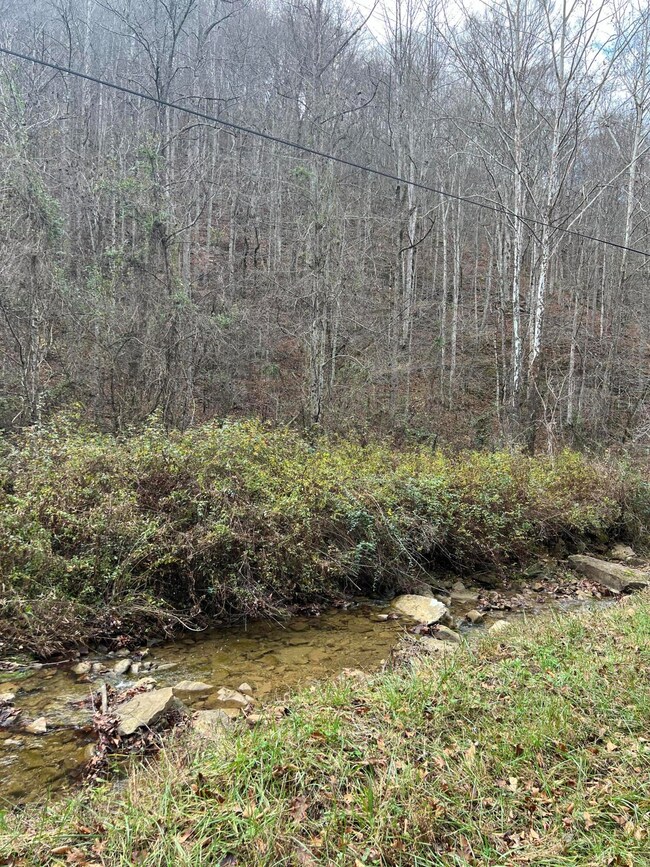 Tract 2 Cow Fork Rd, Beverly, KY 40913 - photo 6