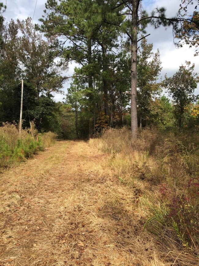 0 Backlin Rd, Lucedale, MS 39452 - photo 3