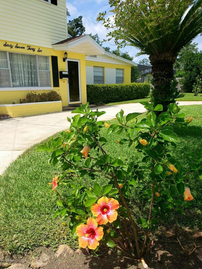 6736 Wurn Park Ct, Jacksonville, FL 32216 - photo 4