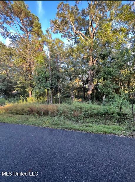 0 Dorothy St unit 4127874, Ocean Springs, MS 39564 - photo 3