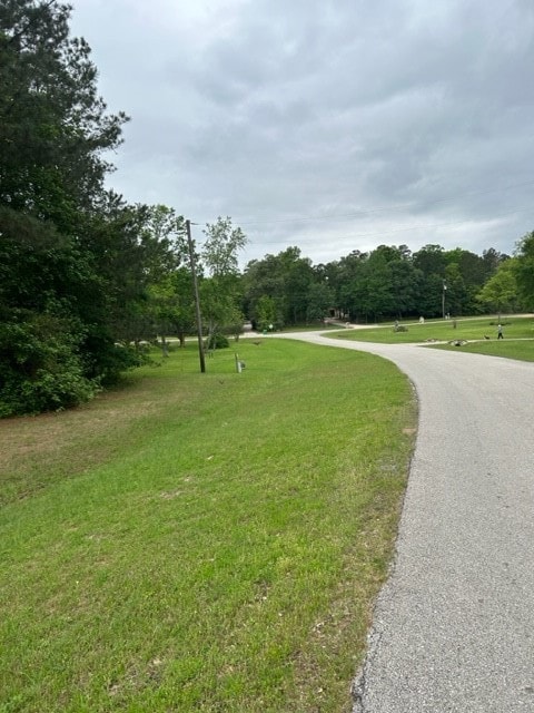 102 Ebner Lake Dr, Montgomery, TX 77316 - photo 6