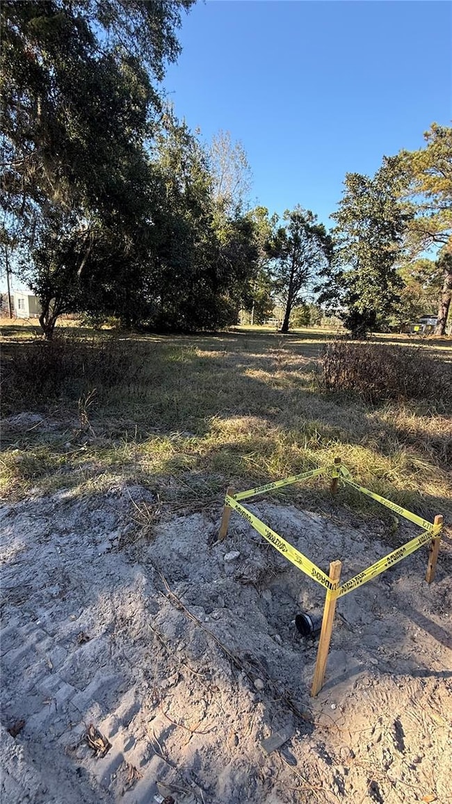 16508 NW 192nd Place, Williston, FL 32696 - photo 5