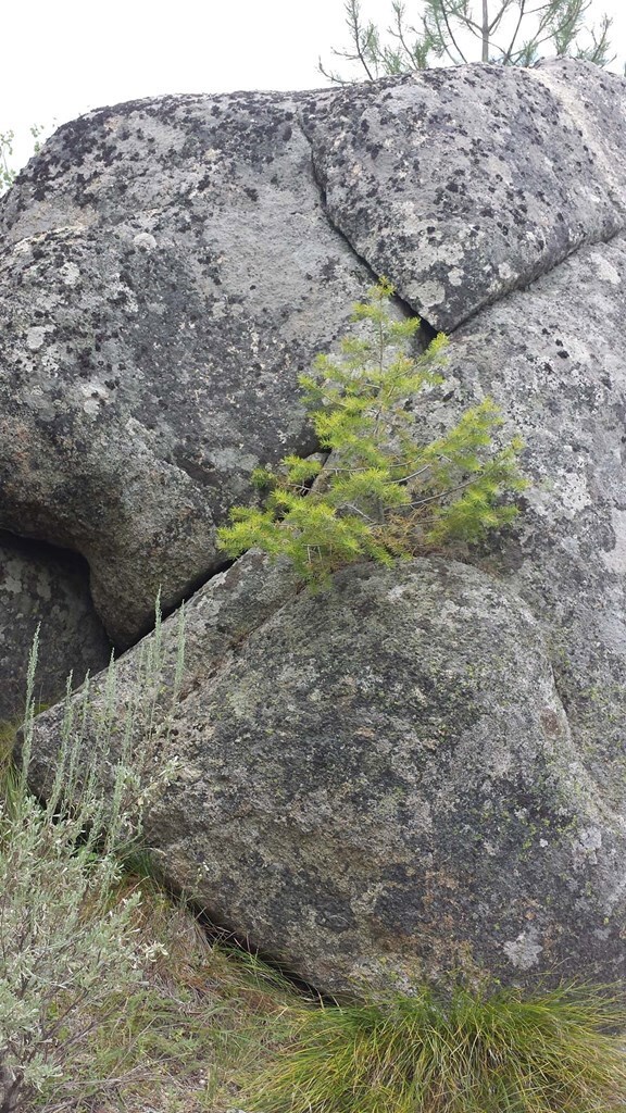 Beautiful Rock Outcroppings