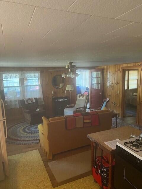 view from kitchen