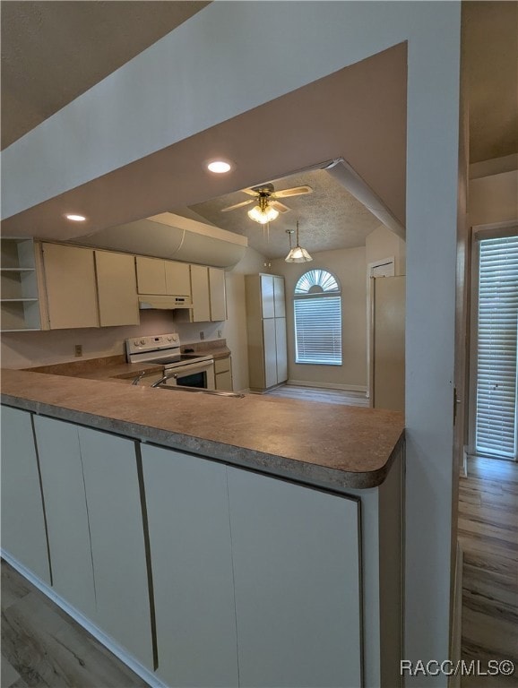 806 Windermere Blvd, Inverness, FL 34453 - photo 5