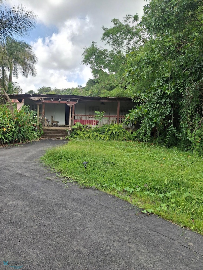 Km 1.5 Carretera 197, Aguas Buenas, PR 00703 - photo 3