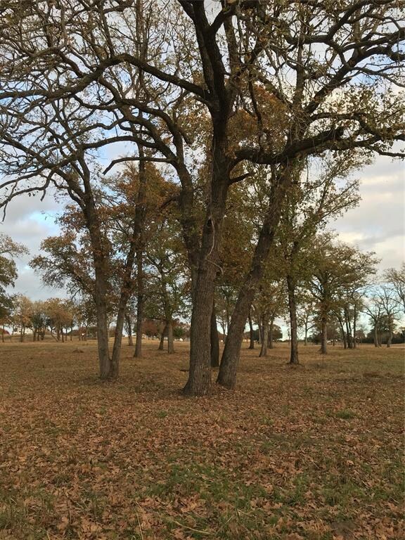 1016 Oak Bend Ln, Weatherford, TX 76088 - photo 3