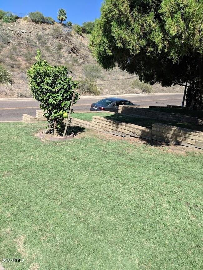 1031 E Butler Dr unit A, Phoenix, AZ 85020 - photo 5