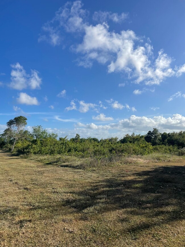 SR-681 Prairie, Arecibo, PR 00612 - photo 2