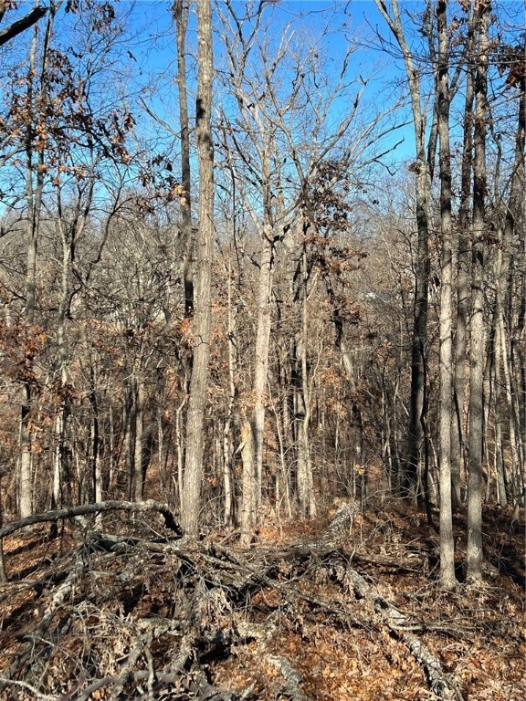 0 Chatburn Ln, Bella Vista, AR 72715 - photo 3