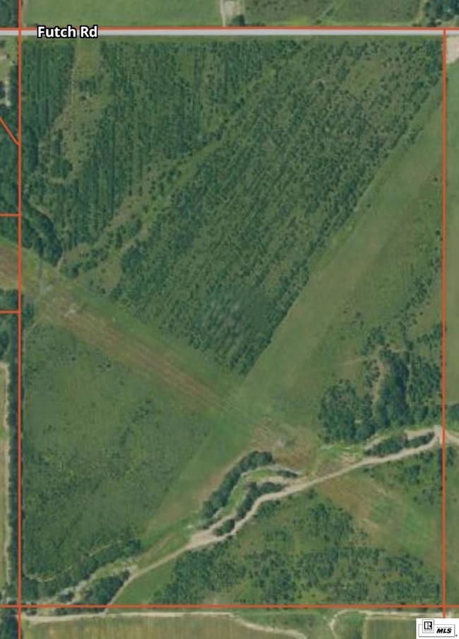 000 Futch Rd, Rayville, LA 71269 - photo 3