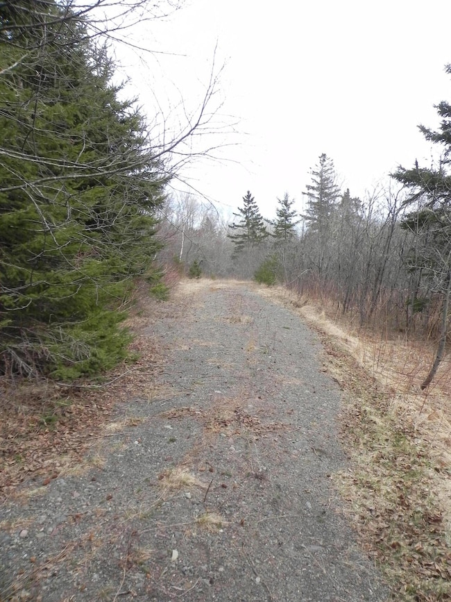 0 N Lubec Rd unit 1554485, Lubec, ME 04652 - photo 6