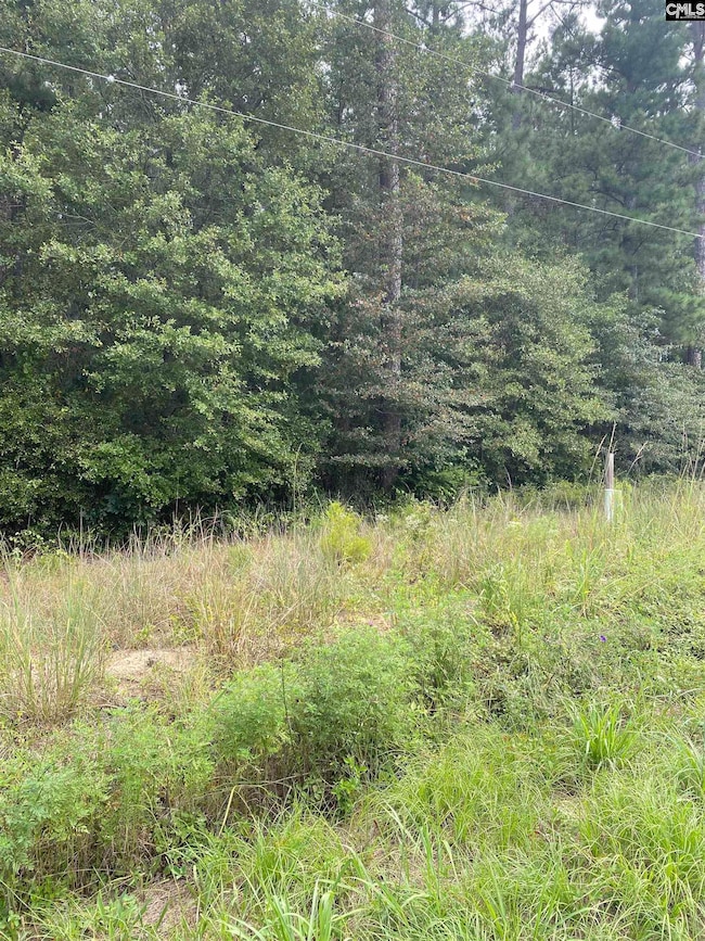 5445 Dubose Siding Rd, Sumter, SC 29153 - photo 2