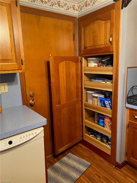 Pantry with pullout drawers.