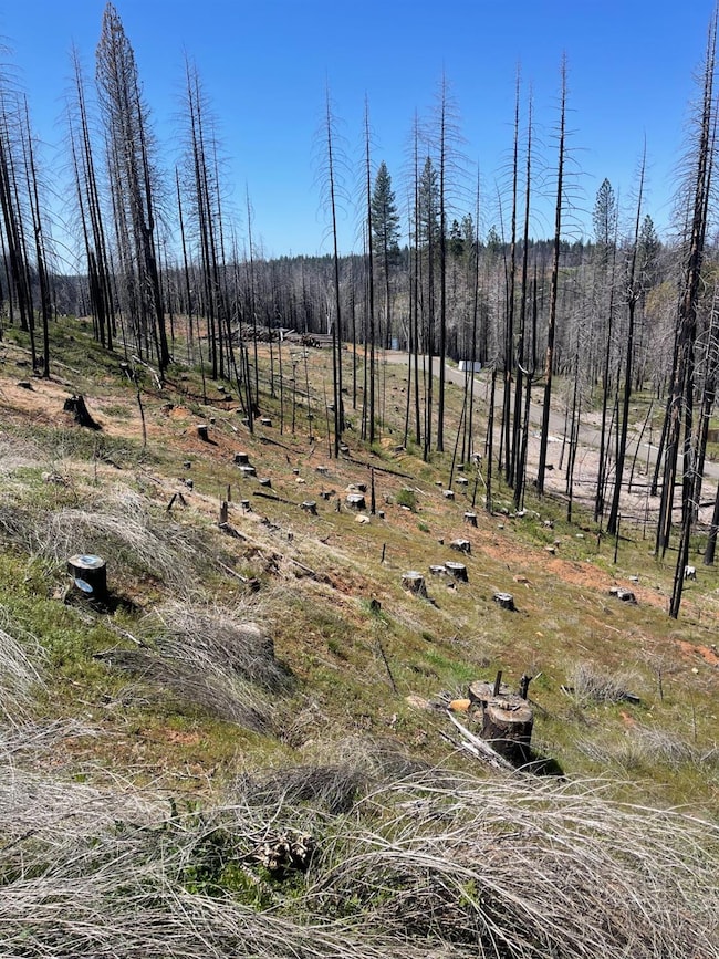 5011 Storybook Ct, Grizzly Flats, CA 95636 - photo 3