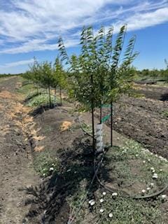 0 Clarksburg Rd unit 224125877, Clarksburg, CA 95612 - photo 3