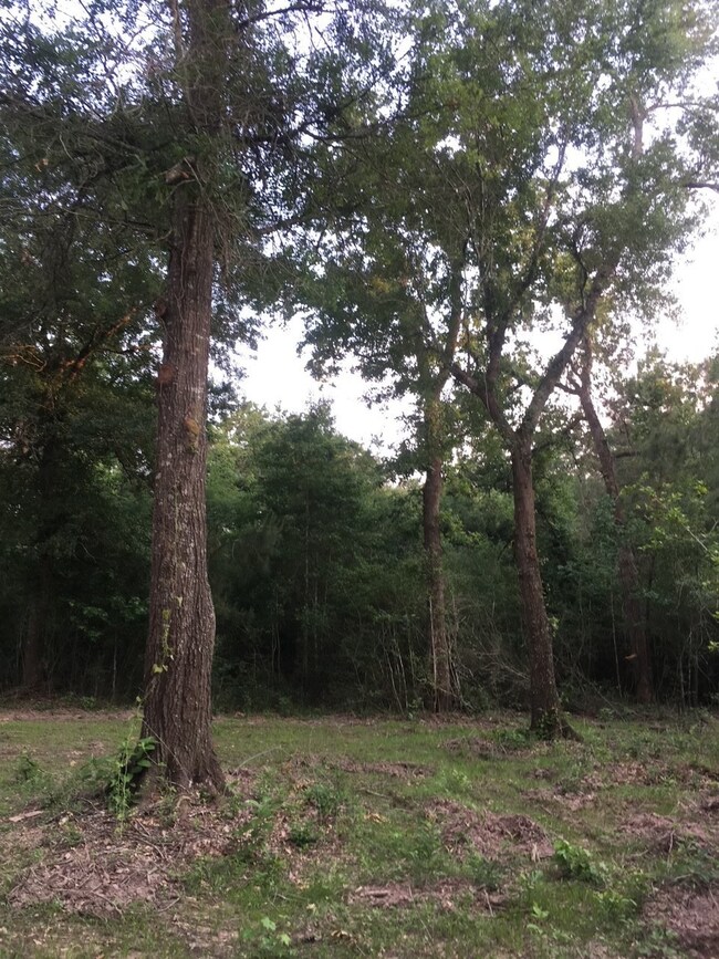 26164 Grand Pines Rd, Magnolia, TX 77355 - photo 5