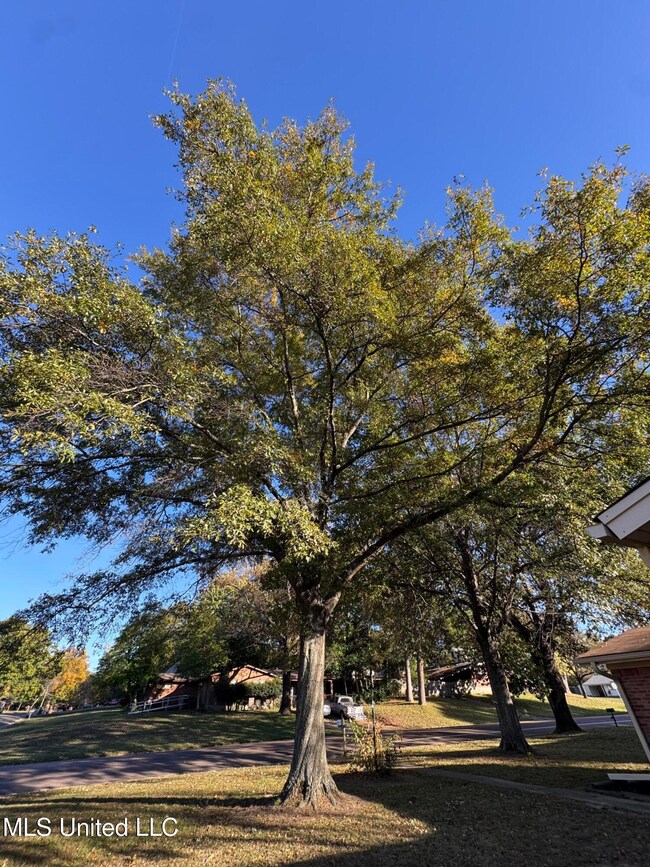 8913 Whitworth St, Southaven, MS 38671 - photo 5