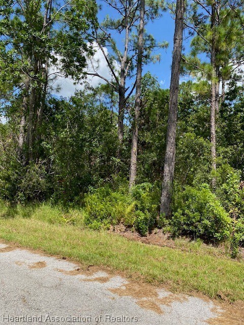 5110 Levante Dr, Sebring, FL 33872 - photo 7