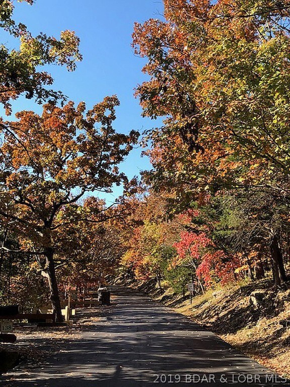 FALL STREET VIEW
