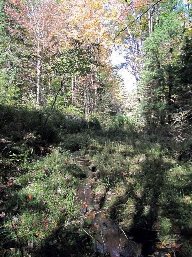 000 Skinny Ridge Rd unit Lot  7, Lyman, NH 03585 - photo 7