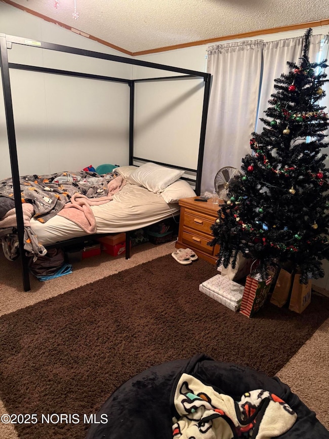 12 Meadowlark Ln, Napoleon, OH 43545 - photo 7