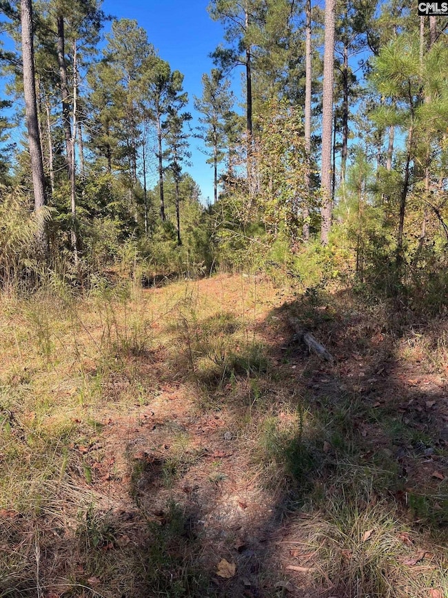 DRF 2 Dawkins Rd unit DRF 2, Pacolet, SC 29372 - photo 2