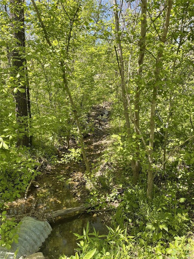 17906 Cliff Rd, Union Township, MO 65459 - photo 3