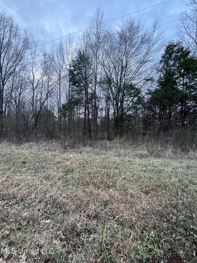 16AB889B-C8B6-455D-A1A4-FC422AE2499A