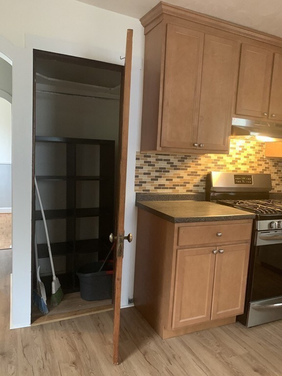 119R Sciarappa St, Cambridge, MA 02141 - photo 3