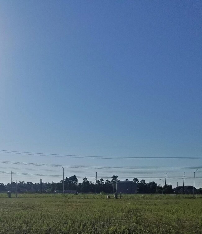 11126 Blue Grove Dr, Humble, TX 77396 - photo 6