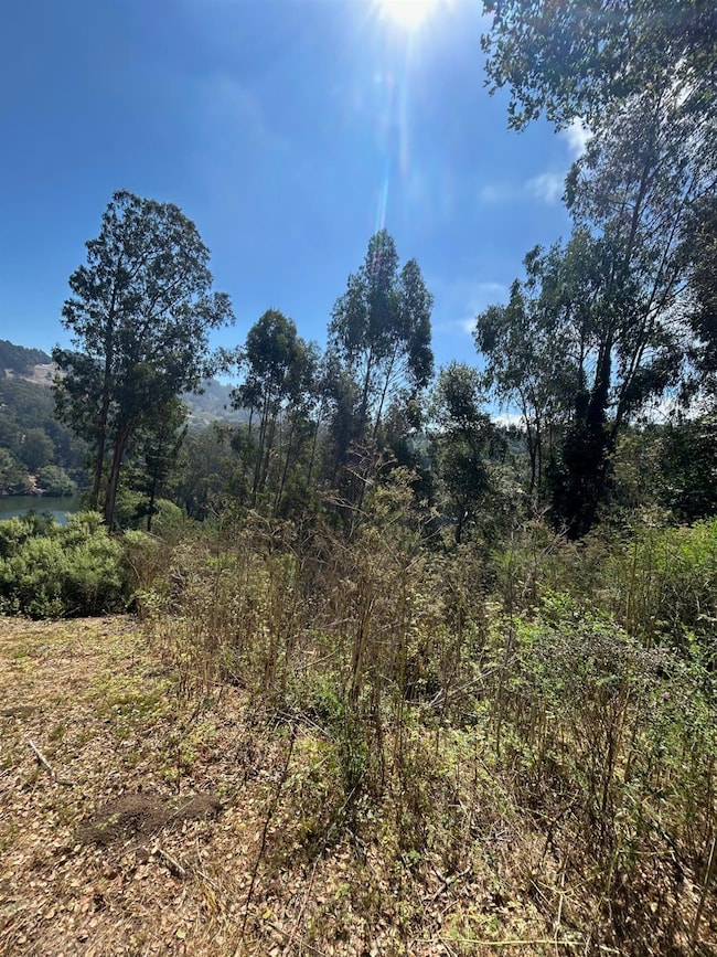 0 Wildcat Canyon Rd, Berkeley, CA 94708 - photo 7