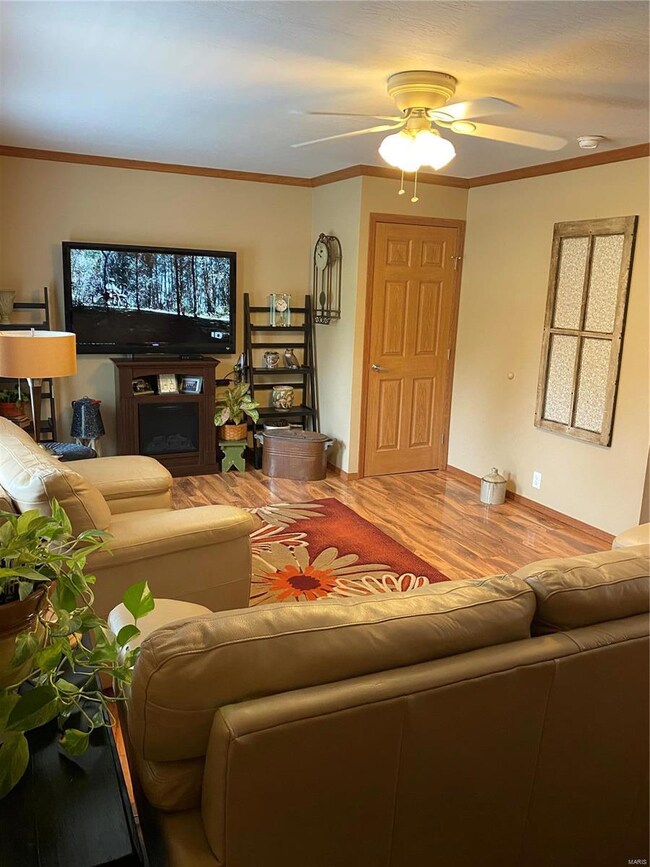 42509 Maries Road 638, Dixon, MO 65459 - photo 4